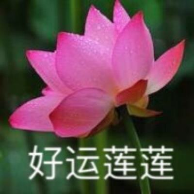 张国清调度防汛抗旱抢险救灾工作：严防出现人员伤亡